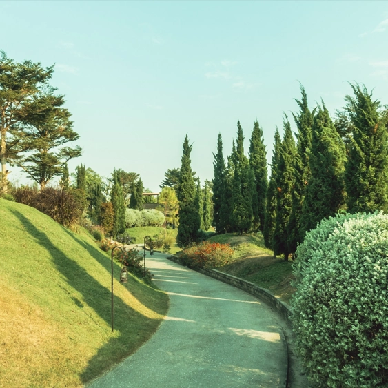 Top Trends in Modern Garden Landscaping