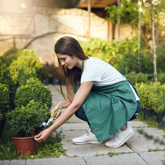 Low-Maintenance Garden Landscaping Ideas